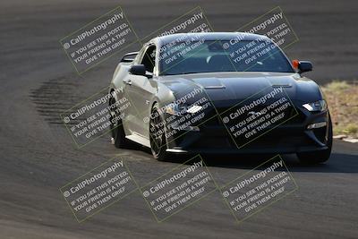 media/Oct-14-2023-West Coast Racing (Sat) [[6853f17b7b]]/Blue Group/Session 1 (Turn 3)/
